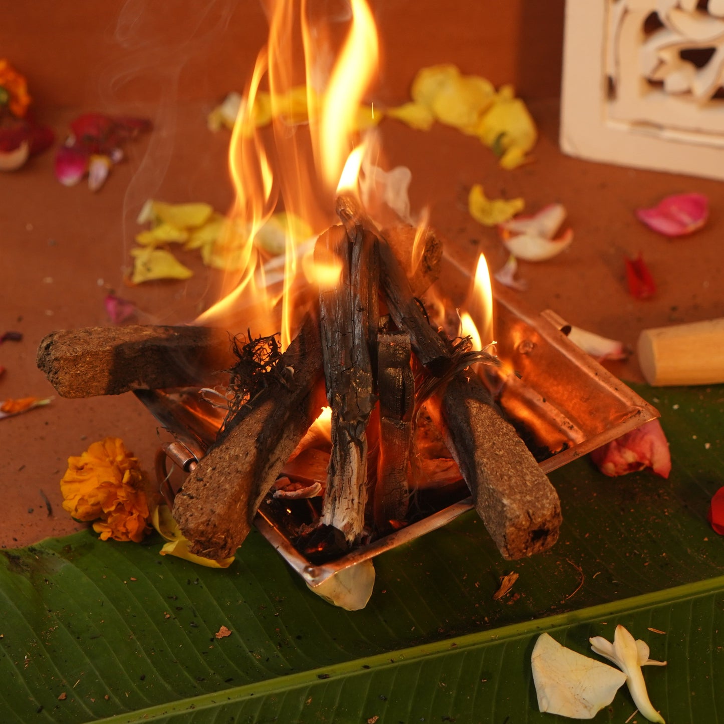 Mango Sticks/Aam ki Lakdi for Hawan/Pooja